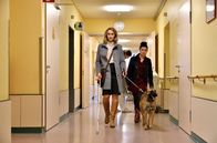 Die Heiland - Wir sind Anwalt – Die blinde Anwältin Romy Heiland (Christina Athenstädt, l.) und ihre Assistentin Ada Holländer (Anna Fischer, r.) müssen zu ungewöhnlichen Mitteln greifen: sie schmuggeln den Svenja Benders ehemaligen Diensthund Dexter ins Krankenhaus.