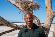 Vogelwild mit Christian Cooper – Christian Cooper steht vor einem toten Baum mit Nestern, in denen früher Blaureiher lebten. Der Salton Sea ist seit langem ein wichtiger Rastplatz für Zugvögel. (National Geographic/Jon Kroll)