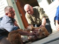 Der Hundeflüsterer – From National Geographic Channel's Dog Whisperer IV, Cesar and Ernesto play with Daddy.