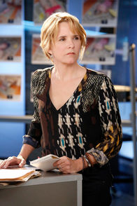 CSI: Vegas – CSI: Vegas (2013)