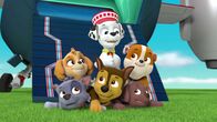 Paw Patrol - Helfer auf vier Pfoten – Paw Patrol - Helfer auf vier Pfoten (2017)