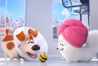 Pets 2 – Pets 2 (2019)