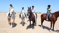 Die Mädchen-WG - Urlaub ohne Eltern – Ausritt: Weya, Bianca, Maja, Buse (v.l.n.r.)