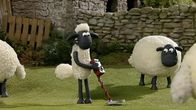Shaun das Schaf – Shaun versucht sich als Schatzsucher. Liegen unter dem Gras wertvolle Dinge?