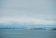 Auckland Detectives - Tödliche Bucht – Die Detectives stehen in engem Kontakt mit der Hauptdienststelle in Auckland.