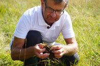 P.M. Wissen – Moore wurden aus wirtschaftlichen Gründen über Jahrzehnte ausgetrocknet. Mit einfachen Holzbarrieren können sie wiedervernässt und damit zu neuem Leben erweckt werden. (Dr. Andreas Bohner, Bodenkundler an der Forschungsanstalt Raumberg-Gumpenstein, engagiert sich für solche Renaturierungsprojekte.)