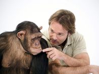 Experiment Verwandtschaft – Mensch und Affe haben gemeinsame Wurzeln - wir sind uns ähnlicher als wir denken.
