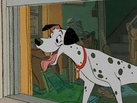 101 Dalmatiner – Pongo