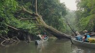 Extreme Expeditionen mit Steve Backshall – Steve Backshall im Moukalaba Nationalpark