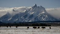 Terra Mater – Rocky Mountains