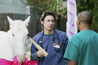 Scrubs - Die Anfänger – Scrubs - Die Anfänger (2007)