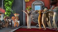 All Hail King Julien: Exiled – Sa, 27.09., 06:00 Uhr