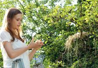 Sturm der Liebe – ARD STURM DER LIEBE FOLGE 1370 Uhr im ERSTEN. Eva (Uta Kargel) rettet einen jungen Vogel und steigt dafür auf die Leiter.