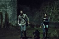The Hallow – Der Londoner Wissenschaftler Adam Hitchens (Joseph Mawle) hat für einen Forschungsauftrag mit seiner Frau Clare (Bojana Novakovic) und dem gemeinsamen Baby Finn der Großstadt den Rücken gekehrt und ist in ein Haus ins tiefste irische Hinterland gezogen.