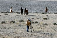 Expeditionen: Mustangs - lebende Legenden – Erich Pröll.