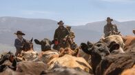Yellowstone – Rip Wheeler (Cole Hauser)