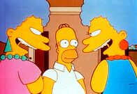 Die Simpsons – Die Simpsons (1995)