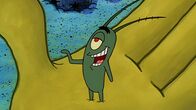 SpongeBob Schwammkopf – Plankton