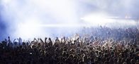 World Stage – Crowd at concert