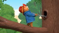 Paddingtons Abenteuer – Paddington