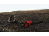 Top Shots – Top Shots Drei Tierfotografen auf Bilderjagd - Wie finden sie die Tiere? Staffel 1, Episode 1 In der kargen Tundra setzt Heiner Kubny (r.) auch seltene Pflanzen ins Bild