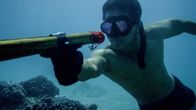 Hawaii Five-0 – Hawaii Five-0 (2013)