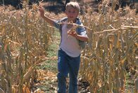 Jeepers Creepers 2 – Billy Taggart (Shaun Fleming) versucht vor der Vogelscheuche zu fliehen.