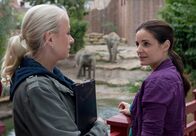 Tierärztin Dr. Mertens – Nicole Sommer (Jenny Elvers-Elbertzhagen, links) erkundigt sich bei Dr. Susanne Mertens (Elisabeth Lanz) nach dem Gesundheitszustand der Elefantendame Don Chung. Susanne möchte den erkrankten Fuß erst einmal mit einer Bewegungstherapie behandeln, bevor sie das Risiko einer Operation eingeht.