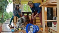 Löwenzahn – Das verirrte Schweinchen hat ganz schön Chaos im Bauwagen angerichtet. Fritz Fuchs (Guido Hammesfahr) und Louisa (Nicolais Borger) versuchen es zu fangen.