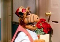 Alf – Alf (1988)
