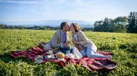 Sturm der Liebe – Katja (Isabell Stern, r.) ist glücklich, als sie und Markus (Timo Ben Schöfer, l.) bei der Weinprobe harmonieren.