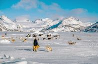 Planet im Wandel – Verschneite Landschaft mit Schlittenhunden