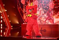 The Masked Singer – Erdbär