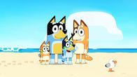 Bluey – L-R: Bingo, Bandit, Bluey, Chilly