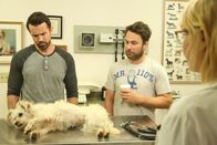 It's Always Sunny in Philadelphia – Do, 19.02., 11:55 Uhr