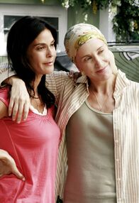 Desperate Housewives – Desperate Housewives (2007)