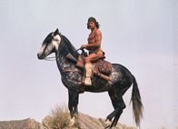 Chatos Land – Apachen-Halbblut Chato (Charles Bronson) tötet in Notwehr einen rassistischen Sheriff und fleiht Bald wird er jedoch von Quincey Whitmore, einem Bürgerkriegsveteranen und Indianerhasser, verfolgt. Whitmore hat für seine Jagd einen 13-köpfigen Suchtrupp zusammengestellt. Doch Chato lockt den Trupp in die Bergwelt, wo er die Verfolger schließlich bis auf einen tötet.