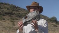 Katastrophen der Erdgeschichte – Gorgonopsia lebten vor etwa 260 Millionen Jahren und waren Vorfahren der Säugetiere. Mit ihren säbelzahnartigen Reißzähnen dominierten sie die späte Perm-Zeit.