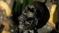 American Fright Fest – Mi, 03.01., 01:05 Uhr