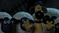 Shaun das Schaf – Bitzer stellt sich schützend vor die Schafe, aber auch ihn gruselt es sehr.