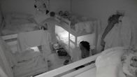 Forsthaus Rampensau – Do, 17.10., 22:35 Uhr