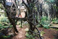 Die Brücke nach Terabithia – In Terabithia, einem geheimen magischen Königreich voller Fabelwesen, finden Jess (Josh Hutcherson, r.) und Leslie (Anna Sophia Robb, l.) Zuflucht vor Schulproblemen, Eltern und Lehrern ...