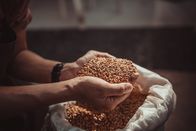 TM Wissen – Eine handvoll Gerste
