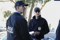 Navy CIS – Ein kaputtes Scheinwerferglas auf der Straße in der Nähe des Toten deutet für Palmer (Brian Dietzen, l.) und Gibbs (Mark Harmon, r.) darauf hin, dass es sich hierbei um Fahrerflucht handeln muss. Doch war es tatsächlich ein Unfall?