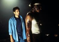 Akte X - Die unheimlichen Fälle des FBI – Akte X - Die unheimlichen Fälle des FBI (1995)
