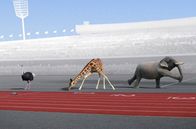 Athleticus – "Athleticus" macht Tiere zu den größten Athleten. Auf ulkige, doch sehr realistische Weise üben sie die Sportarten der Menschen mit engagierter, persönlicher Note aus.