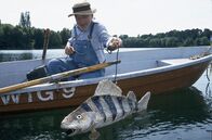 Löwenzahn Classics – Peter (Peter Lustig) hat sich einen großen Fisch gebastelt. Im Inneren des Fisches steckt eine Kamera. Peter wird den Fisch schwimmen lassen, vielleicht erhält er so Fotos von dem Bärstädter See-Monster.