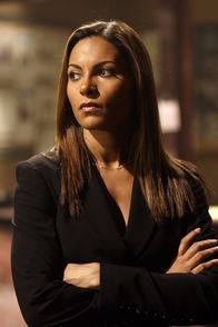 EUReKA - Die geheime Stadt – Mit dem Auftauchen von Callister Raynes spielen sämtliche computergesteuerten Systeme in Eureka verrückt. Allison Blake (Salli Richardson-Whitfield) geht gemeinsam mit Jack Carter dem nach ...