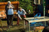 Löwenzahn – Ein Geräusch im Käfig! Haben Fritz Fuchs (Guido Hammesfahr, r.) und Nachbar Paschulke (Helmut Krauss, l.) ein Wildkaninchen fangen können?