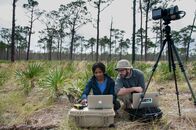 24 Stunden Erde – Die Everglades in Florida: Die Wissenschaftler Dr. Lola Fatoyinbo und David Lagomasino untersuchen, wie schnell sich die Wälder verändern. Sie machen einen 360-Grad-Scan.